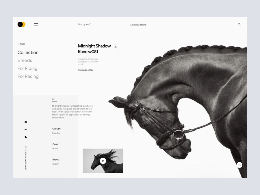 Download Ghora - Horse riding and selling website for Adobe XD