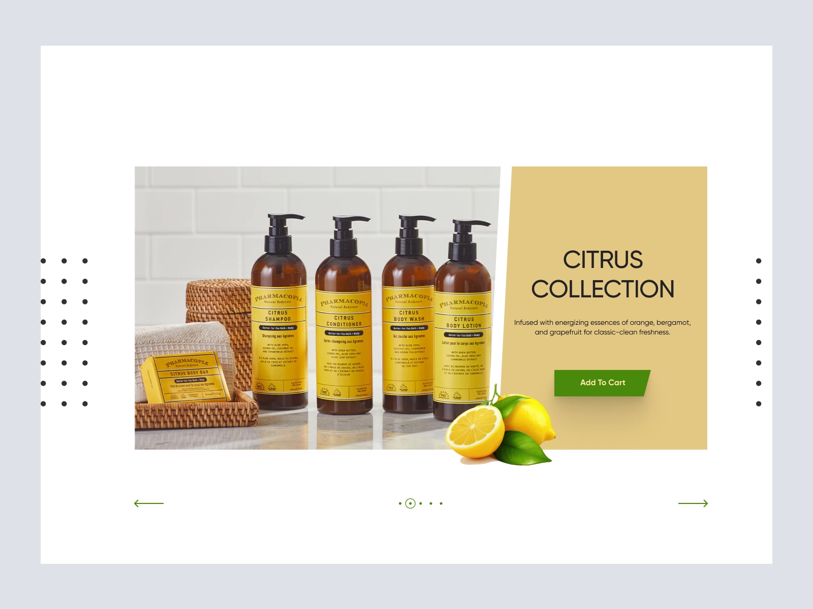 PharmaCopia - Body wash product website for Adobe XD - screen 4