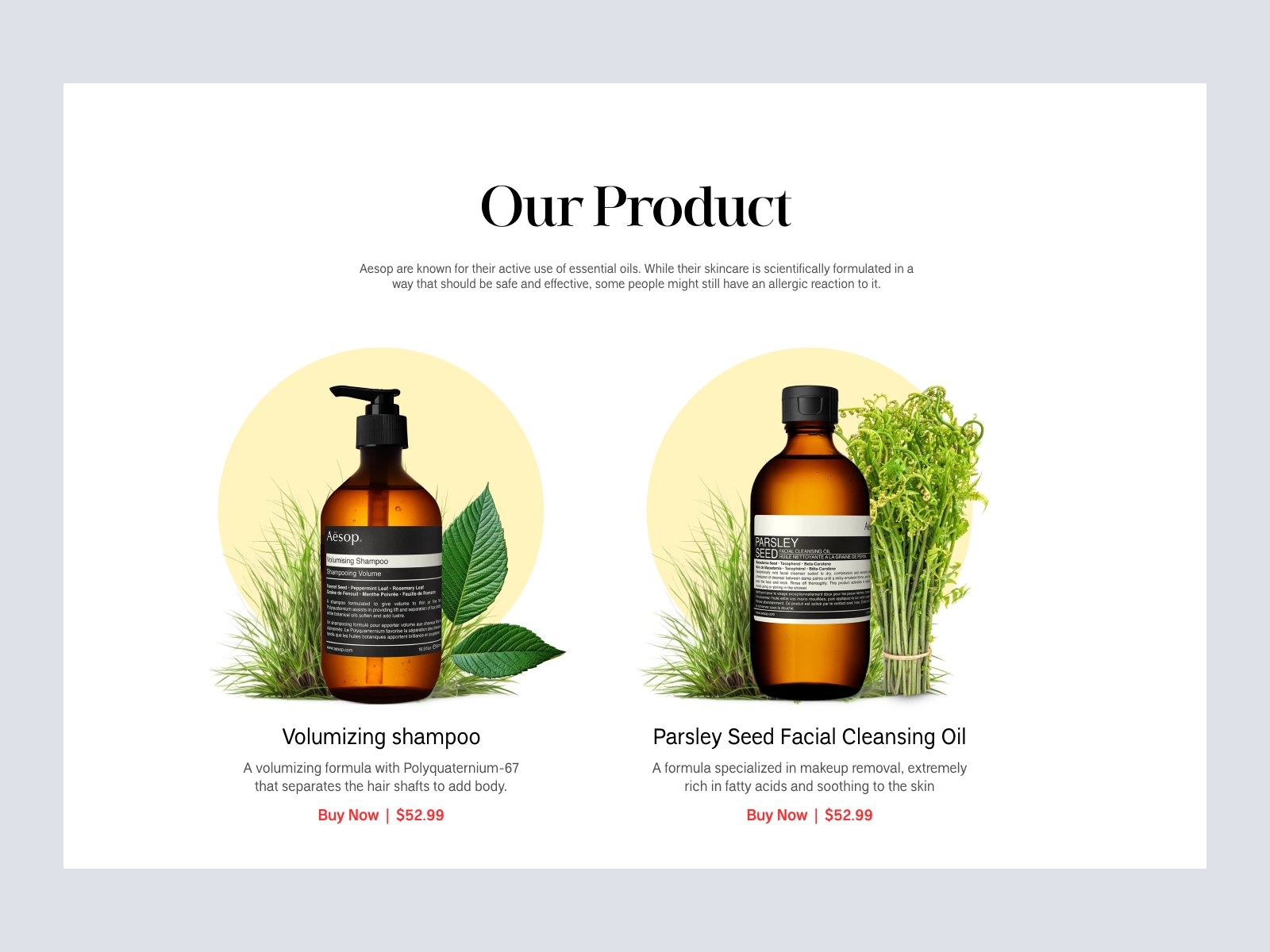 Wassup - Organic Tea and Coffee Shopify Store Design for Adobe XD - screen 3